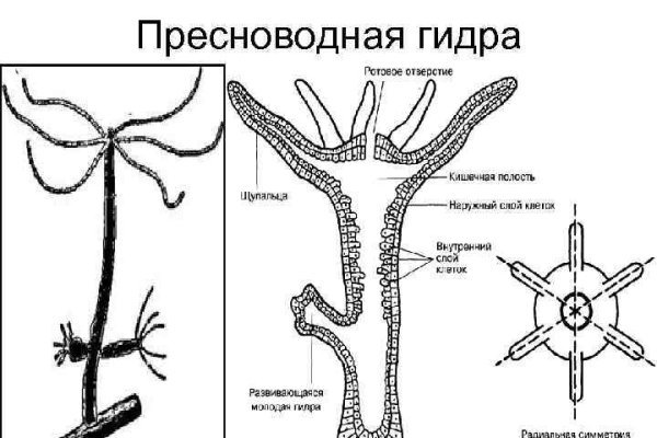 Магазин наркоты